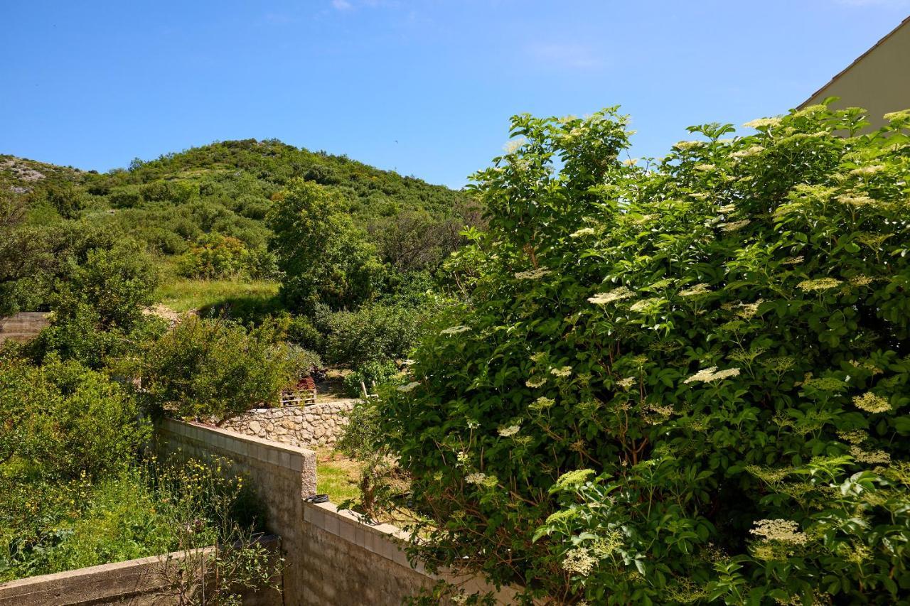 Helton Seaview Apartments Orasac Dış mekan fotoğraf